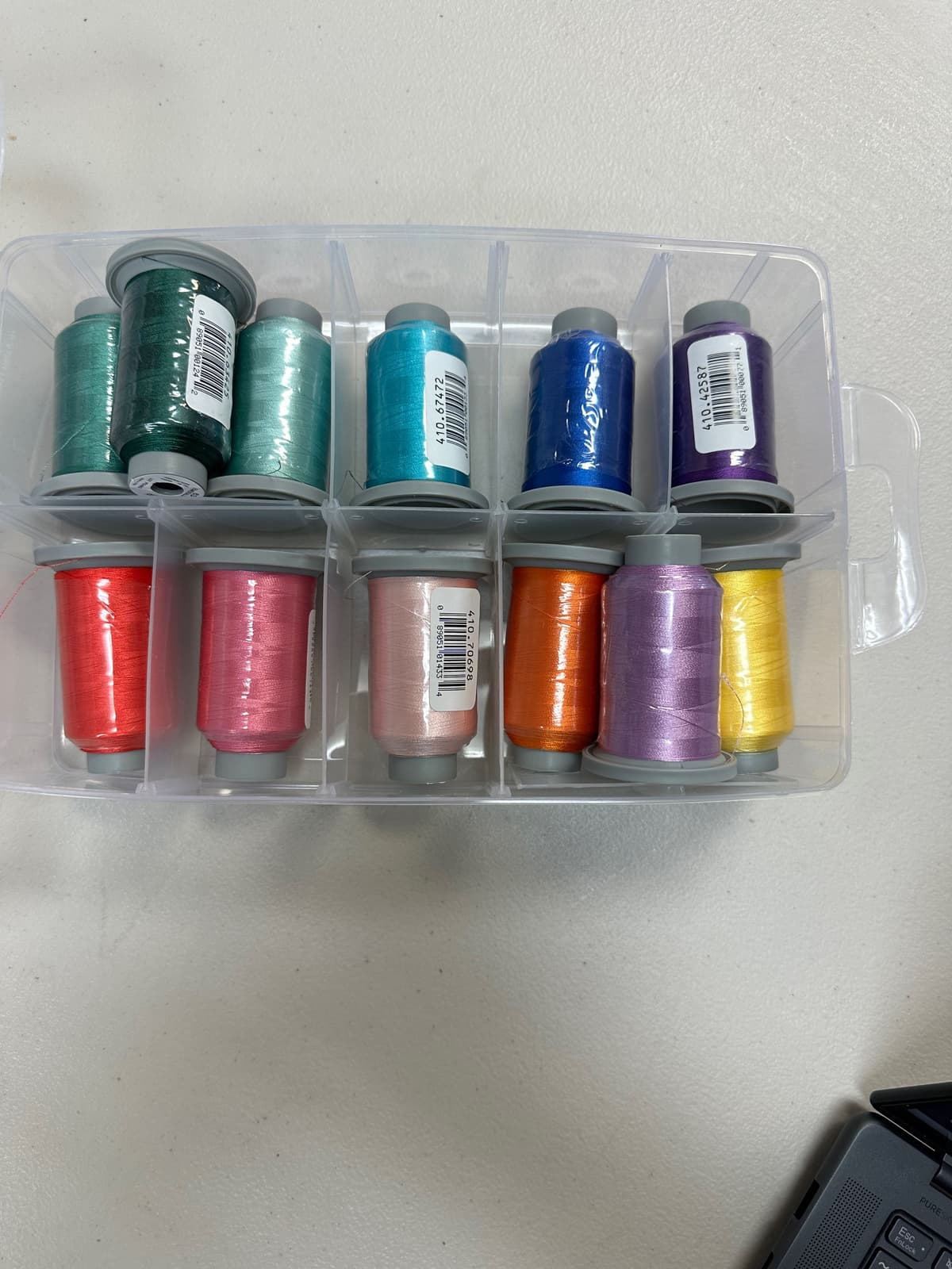 Let's Celebrate Bella Box Spring 2024 — image 2